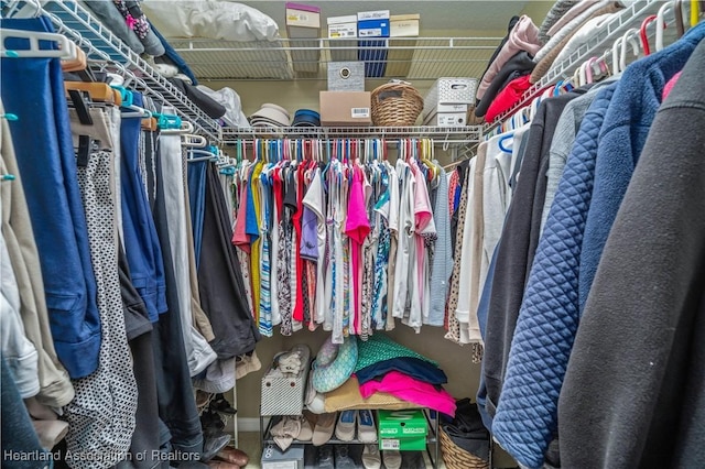 view of walk in closet