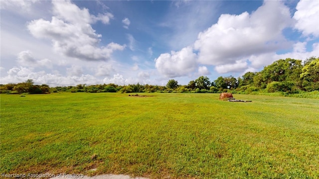 view of yard with a rural view