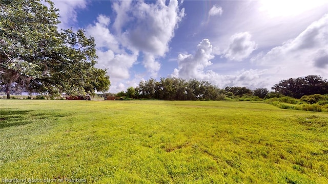 view of yard featuring a rural view