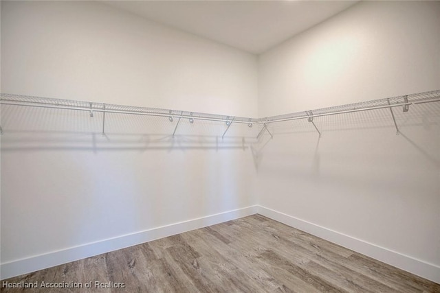 walk in closet featuring wood finished floors