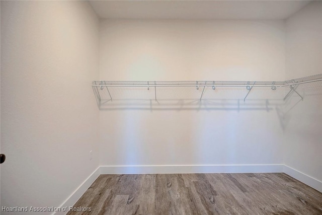 spacious closet featuring wood finished floors