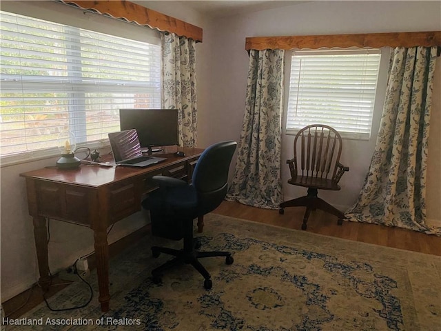office space featuring wood finished floors and a wealth of natural light