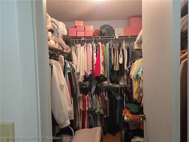 view of walk in closet