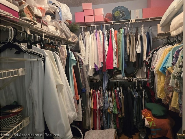 view of walk in closet