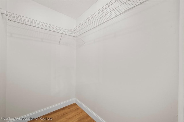 245 Lake Blvd, Sebring, FL 33875 - spacious closet with light wood-style flooring