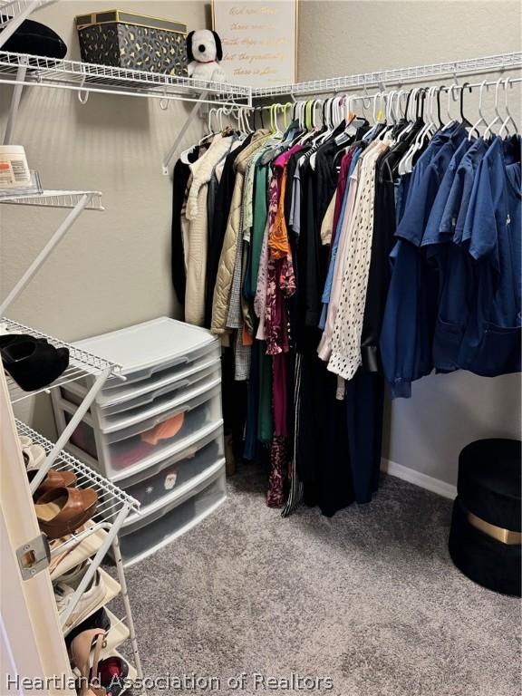 walk in closet featuring carpet