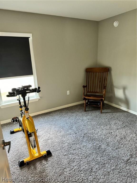 workout area with carpet floors