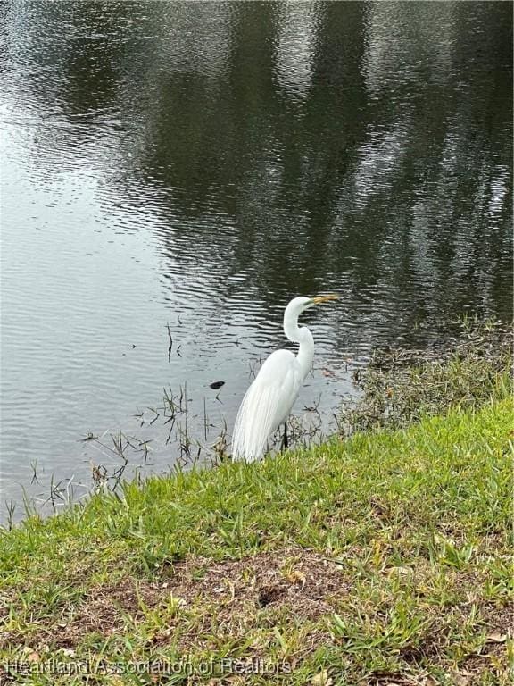 property view of water