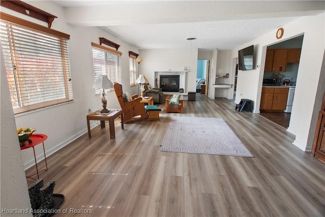 living room with wood-type flooring