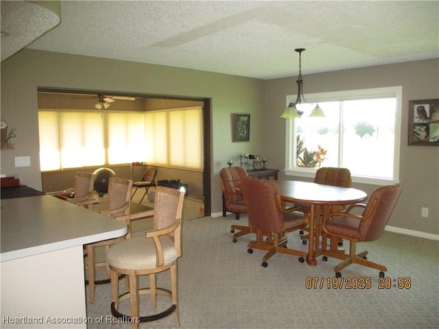 236 Sheppard Rd NW, Lake Placid, FL 33852 - photo 4