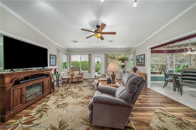 living room featuring ceiling fan, ornamental molding, and light hardwood / wood-style flooring