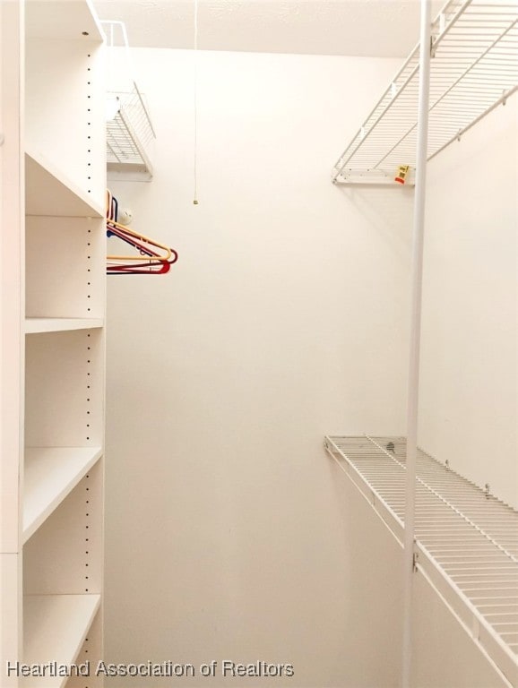 view of walk in closet