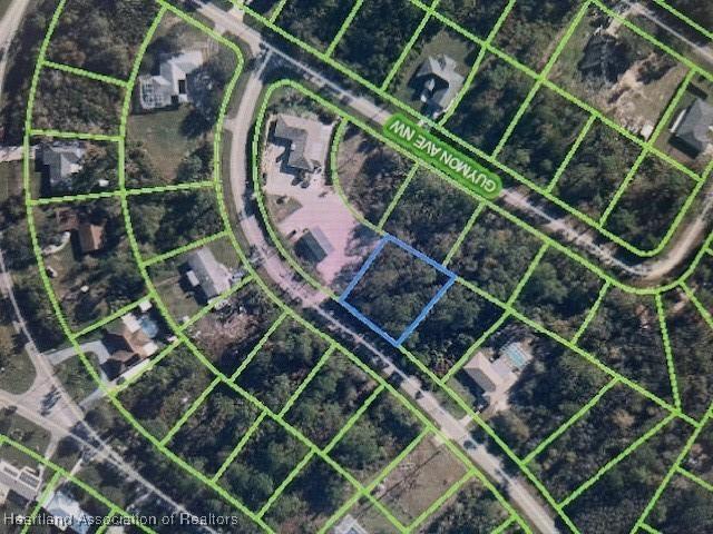 Address Not Disclosed, Lake Placid FL, 33852 land for sale