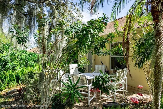 view of yard featuring a patio area