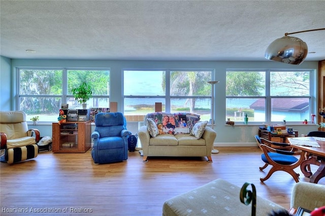 living room with hardwood / wood-style floors and a textured ceiling