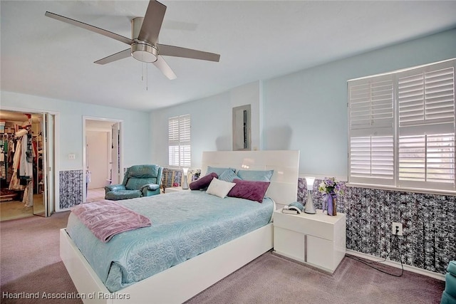 carpeted bedroom featuring a walk in closet, ceiling fan, and a closet