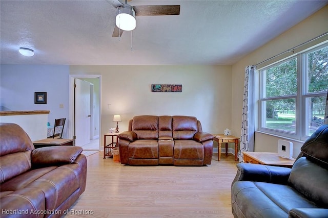 221 Boren Ave, Lake Placid, FL 33852 - photo 11