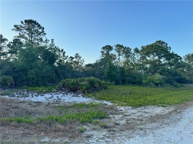 Listing photo 3 for 551 Dreamland Dr, Lake Placid FL 33852