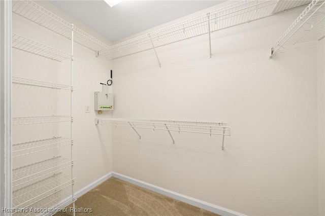 walk in closet featuring carpet flooring