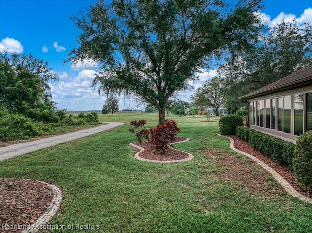view of yard