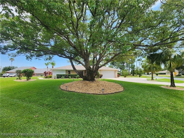 1904 Mulligan Rd, Sebring, FL 33872 - view of green lawn with concrete driveway and an attached garage