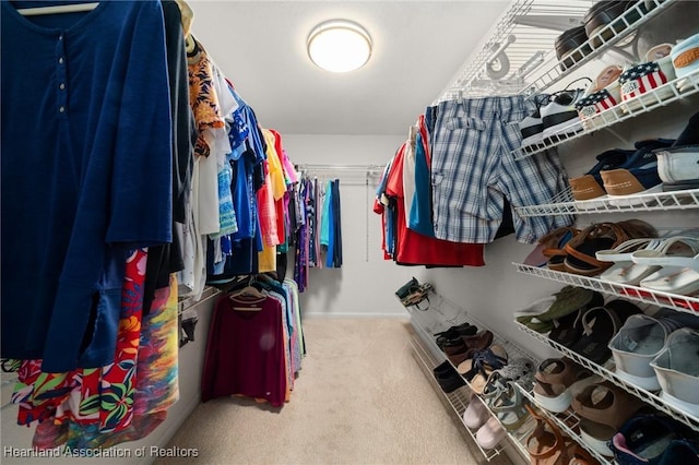 1904 Mulligan Rd, Sebring, FL 33872 - walk in closet with carpet