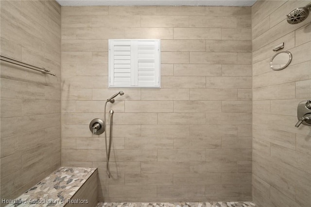 1904 Mulligan Rd, Sebring, FL 33872 - full bathroom featuring tiled shower