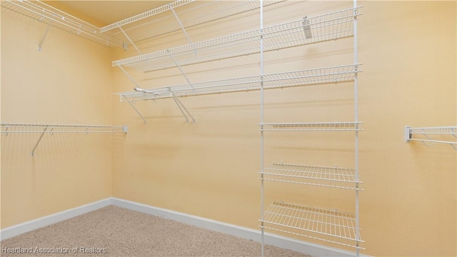 walk in closet featuring carpet floors