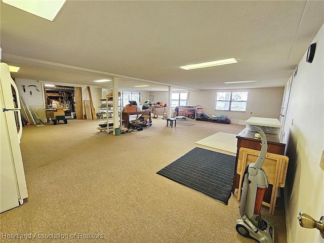 misc room with a textured ceiling and carpet floors