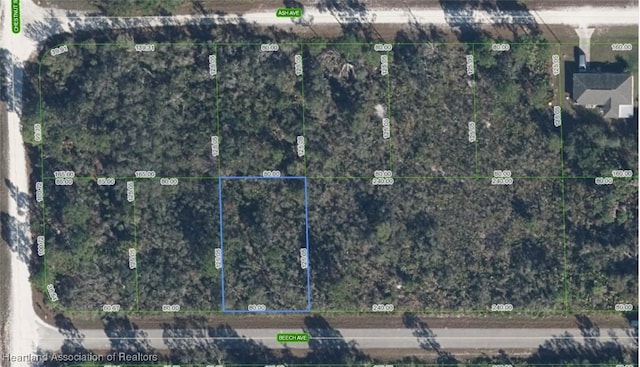 3027 Beech Ave, Lake Placid, FL 33852 - photo 1