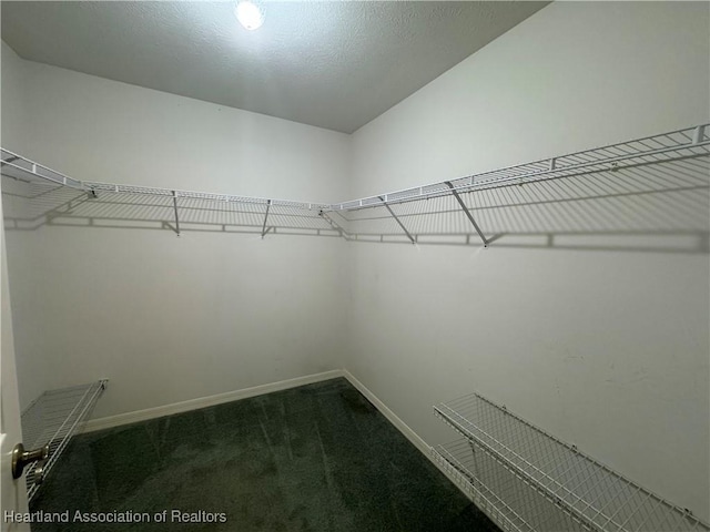 walk in closet featuring dark carpet