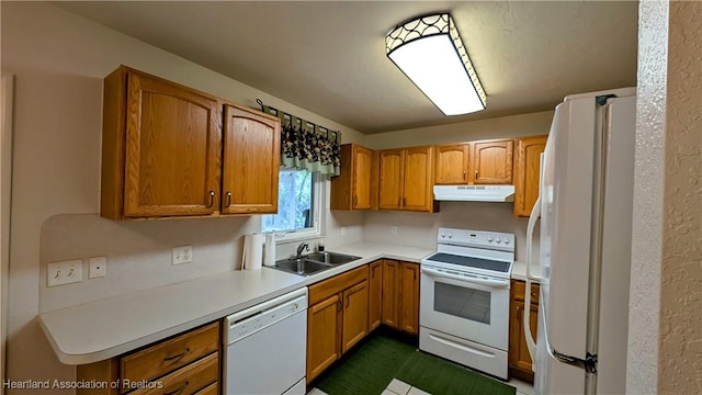 kitchen featuring white appliances, brown cabinets, light countertops, under cabinet range hood, and a sink