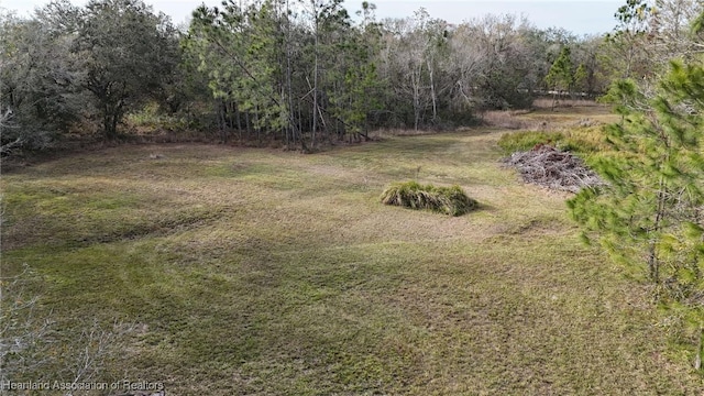 view of yard featuring a forest view