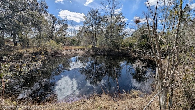 property view of water featuring a wooded view