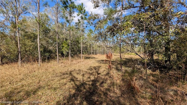 view of local wilderness featuring a view of trees