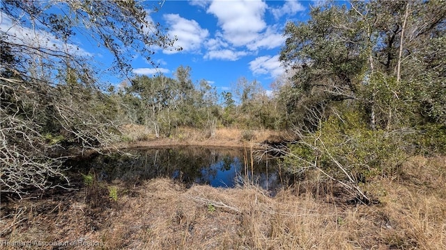 view of nature with a water view and a forest view