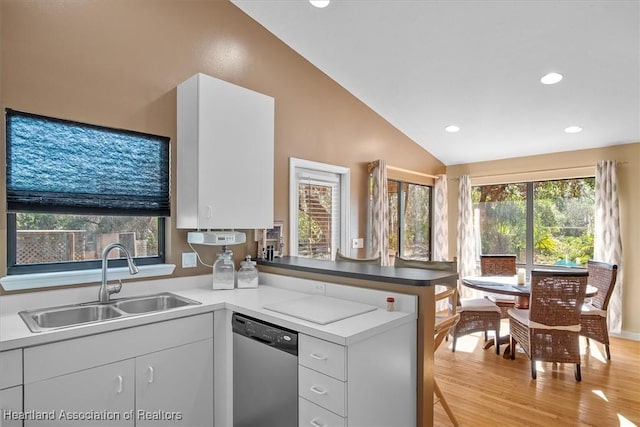 kitchen with vaulted ceiling, stainless steel dishwasher, a sink, and a wealth of natural light