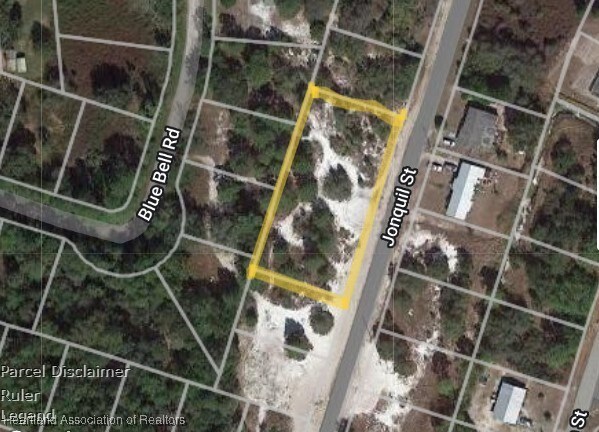 1010 Jonquil St, Lake Placid, FL 33852 - photo 4