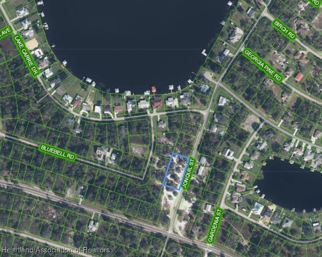1010 Jonquil St, Lake Placid, FL 33852 - photo 1