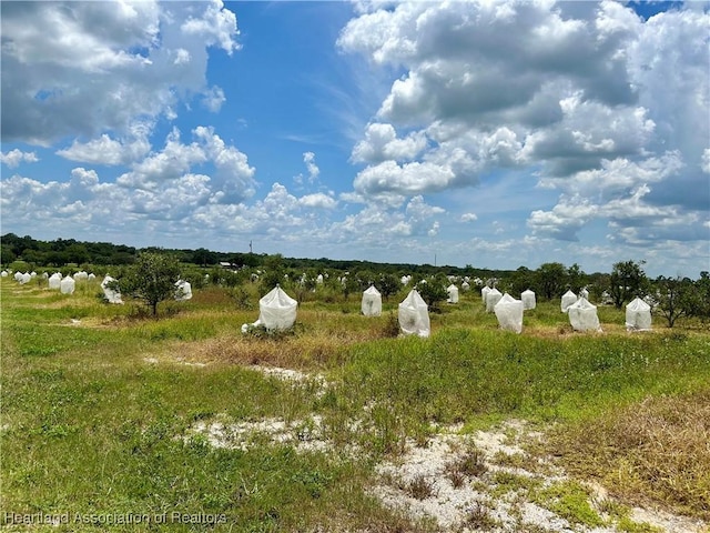 2600 E Oak Rd, Avon Park, FL 33825 - photo 8