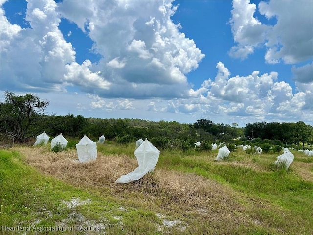 2600 E Oak Rd, Avon Park, FL 33825 - photo 2