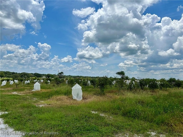 2600 E Oak Rd, Avon Park, FL 33825 - photo 4