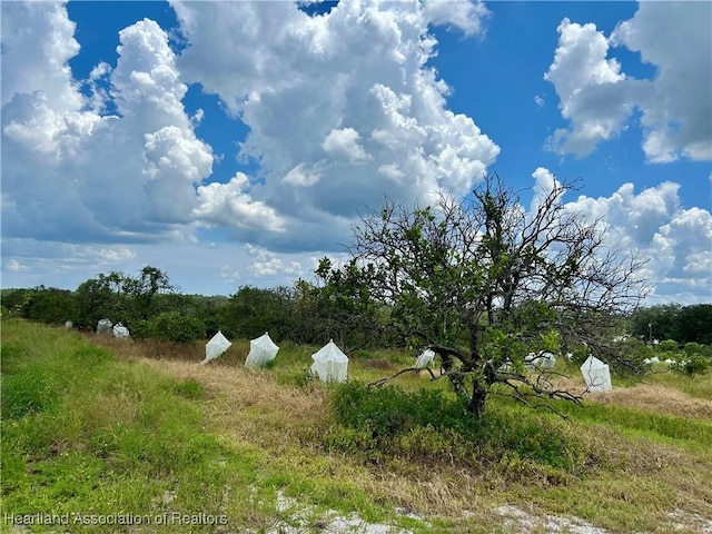 2600 E Oak Rd, Avon Park, FL 33825 - photo 5