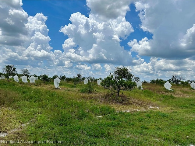 2600 E Oak Rd, Avon Park, FL 33825 - photo 3