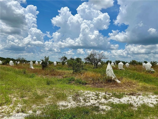 2600 E Oak Rd, Avon Park, FL 33825 - photo 1