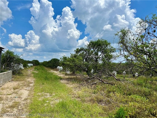 2600 E Oak Rd, Avon Park, FL 33825 - photo 6