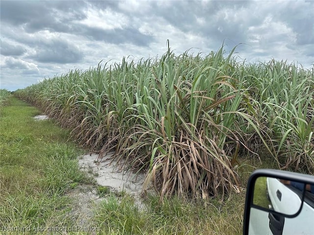 201 Angus Rd, Venus, FL 33960 - photo 16