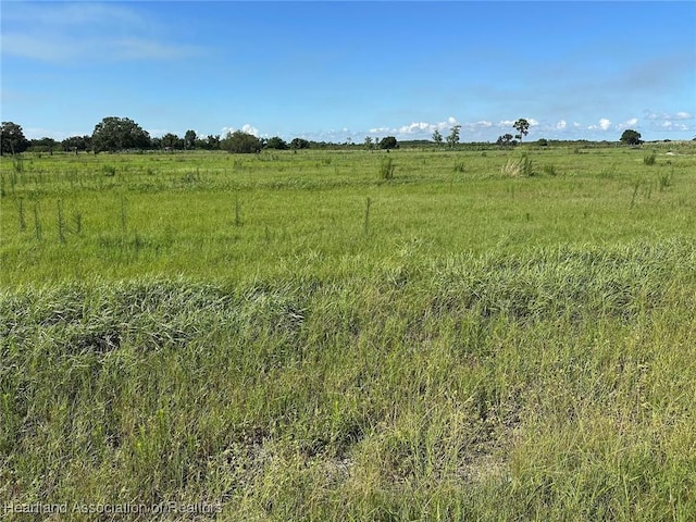 201 Angus Rd, Venus, FL 33960 - photo 21