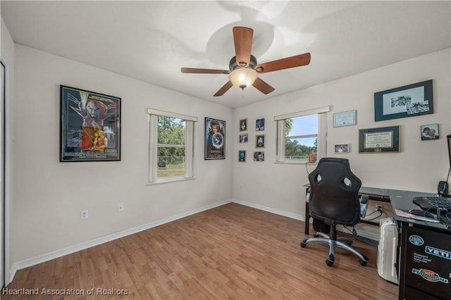 office space with ceiling fan and light hardwood / wood-style floors