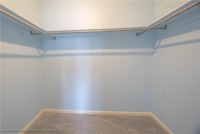 bedroom featuring a textured ceiling, ceiling fan, and light colored carpet